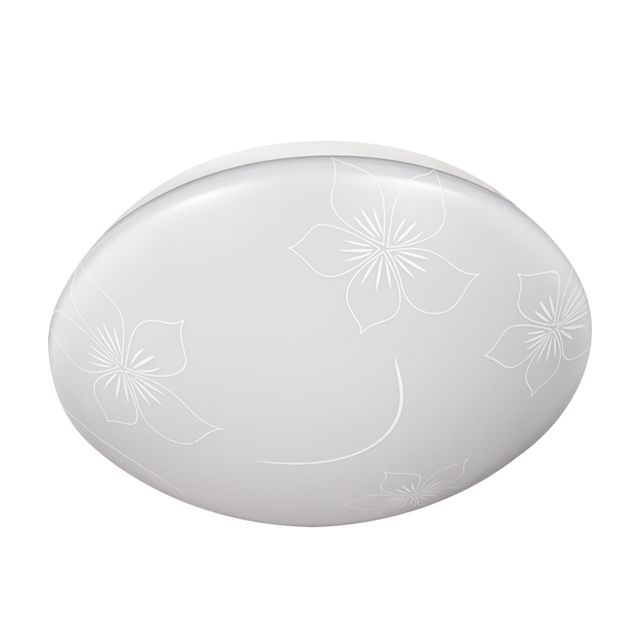 Ceiling Light